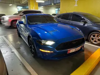 2019 Ford Mustang in Abu Dhabi used car