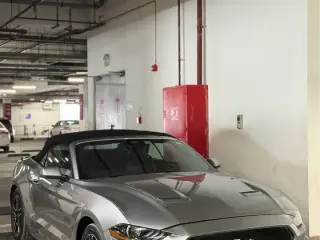 2021 Ford Mustang in Abu Dhabi used car