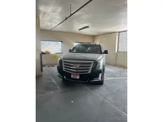 2018 Cadillac Escalade in Abu Dhabi used car
